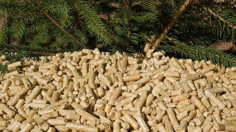 Pellets Top Questions