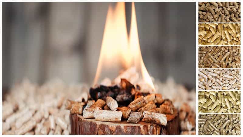 Wood Pellet Production in Russia
