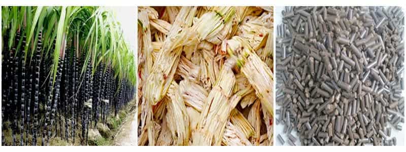 To Invest Bagasse Pellet Project