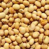Poultry feed mill equipment ring die chicken poultry feed pellet making machine(图3)