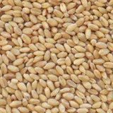 Poultry feed mill equipment ring die chicken poultry feed pellet making machine(图2)