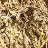 Agricultural equipment forage chopper straw crushing machine grass chaff cutter(图4)
