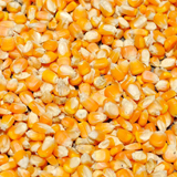 Poultry feed mill equipment ring die chicken poultry feed pellet making machine(图1)