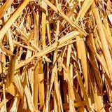 Agricultural equipment forage chopper straw crushing machine grass chaff cutter(图5)