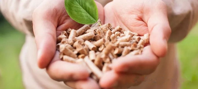 North American Pellet Export Forecast(图1)