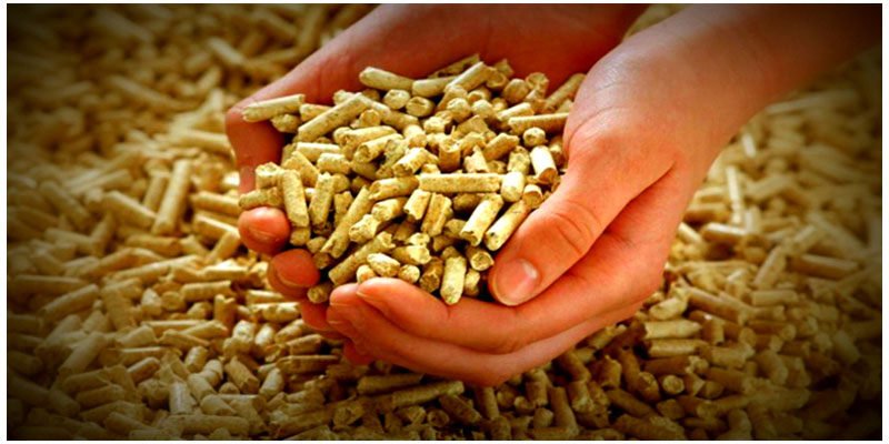 What is Wood Pellet(图1)