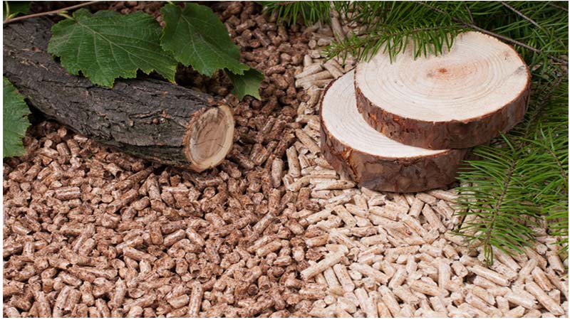 Coniferous Pellets(图1)