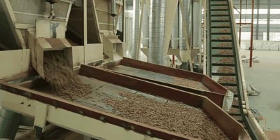 Wood pellet plant production line(图7)