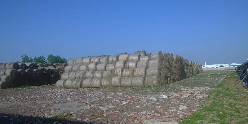 10 T/H straw pellet production line in Anhui (图4)