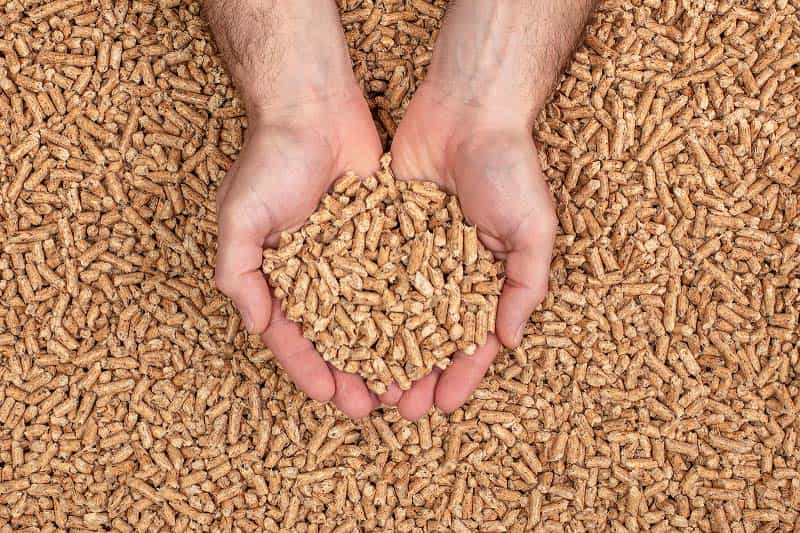 Japanese wood chip and wood pellet demand expected to grow