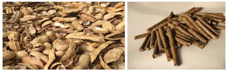 How to turn peanut shell waste into treasure