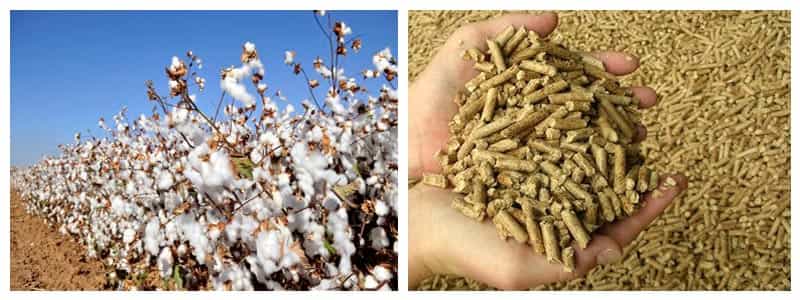 How to Make Cotton Stalk into Fuel Pellets
