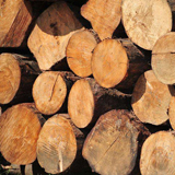 Kapasitas besar paling populer 8-15 t / h penghancur pohon kayu chipper kayu (图1)