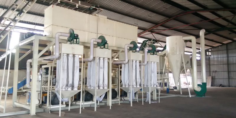 6 T/H wood pellet production line in Malaysia (图2)