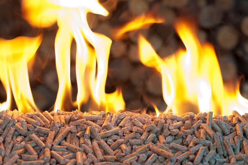 The 2020 Youth Olympic Torch will be lit by wood pellets(图2)